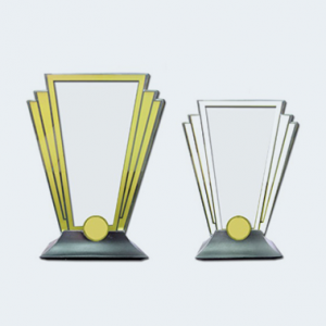 Custom Made Arcylic Award