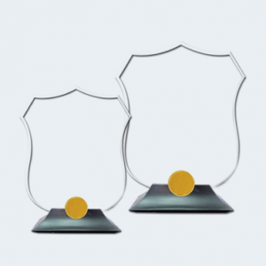 Custom Made Arcylic Award