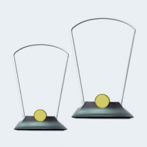 Custom Made Arcylic Award