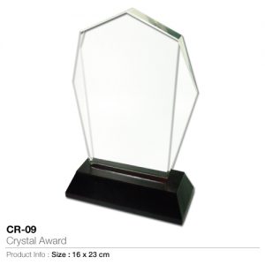 Crystal Award CR 09